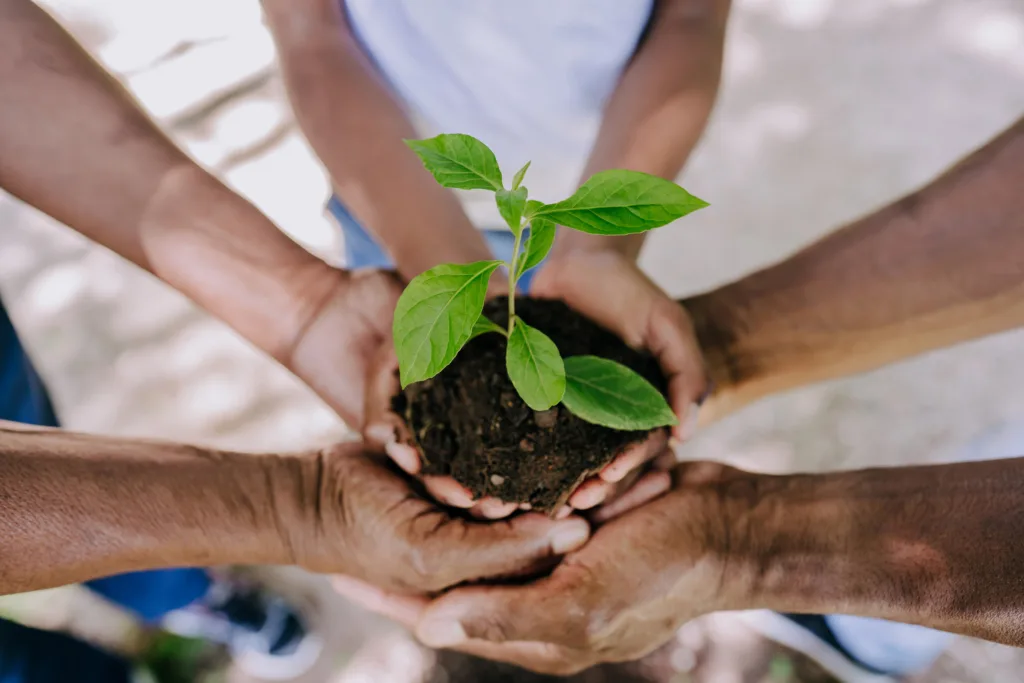 people holding a plant